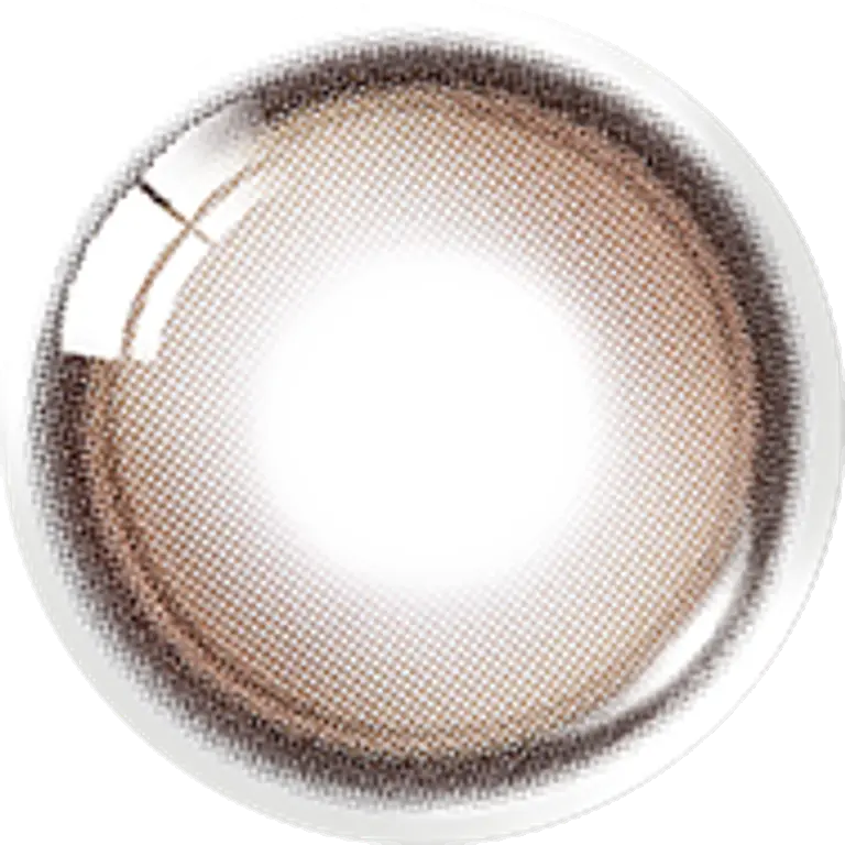 글로이티어 브라운